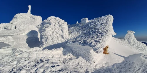 Cabana Omu, Stația Meteo FOTO Mugur Gavrilă / Facebook