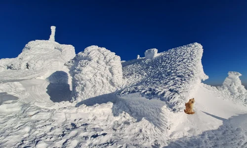 Cabana Omu, Stația Meteo FOTO Mugur Gavrilă / Facebook