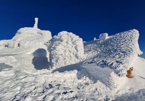 Cabana Omu, Stația Meteo FOTO Mugur Gavrilă / Facebook