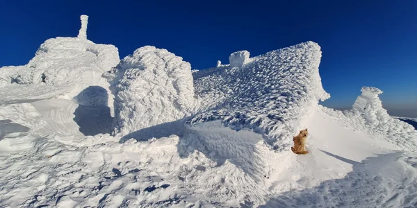 Cabana Omu, Stația Meteo FOTO Mugur Gavrilă / Facebook