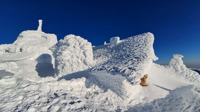 Cabana Omu, Stația Meteo FOTO Mugur Gavrilă / Facebook
