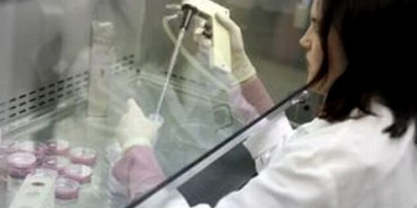 Human egg trrafficking case in Bucharest, 3 people arrested
