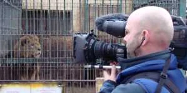 Cameramanul Phil Spencer a fost impresionat de cuștile comuniste în care sunt ținuți leii (Foto: Claudia Vidican)