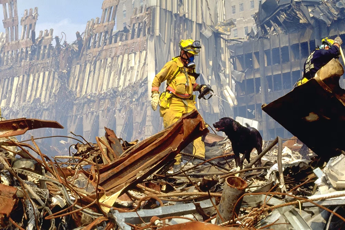 De ce erau ascunși oameni printre dărâmături după 9/11. Trucul folosit pentru câinii salvatori