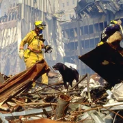 8C8940205 tdy 911 hero dogs 1 (1) jpg