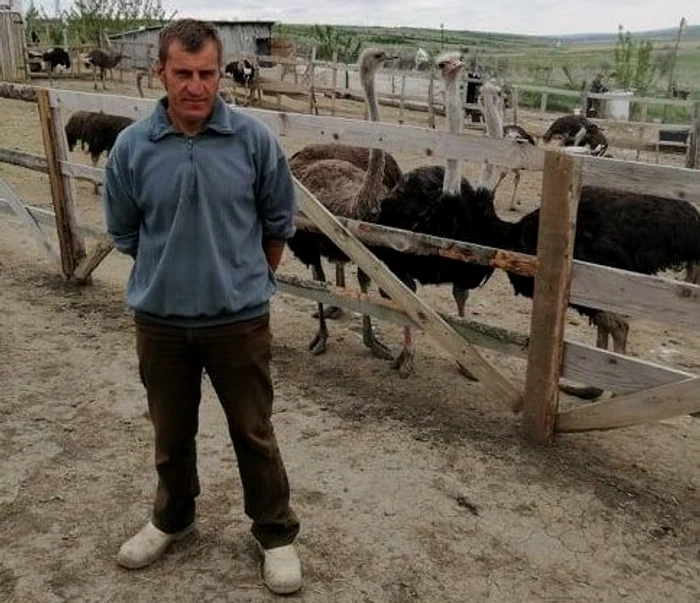 Florin Anghel și marea sa pasiune: struțiiFoto: adevarul.ro