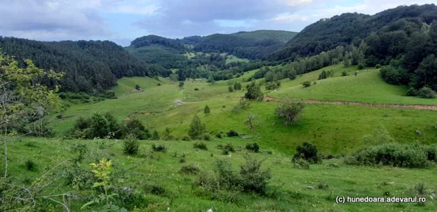 ponorici hunedoara foto daniel guta adevarul