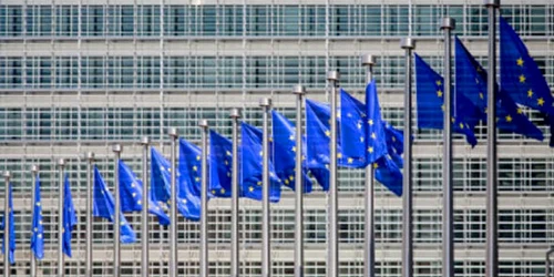 locuri de munca vacante