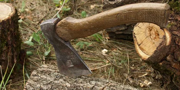 Arma folosită de atacator a fost o secure. Foto