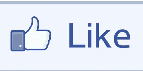Candidaţii tulceni, pe Facebook