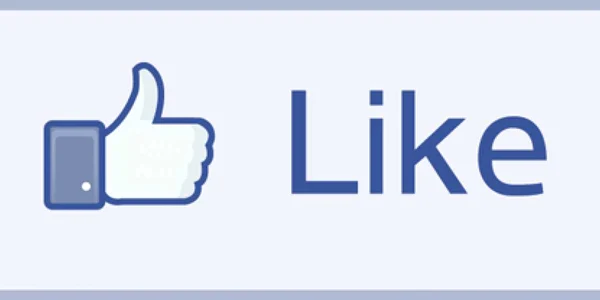 Candidaţii tulceni, pe Facebook