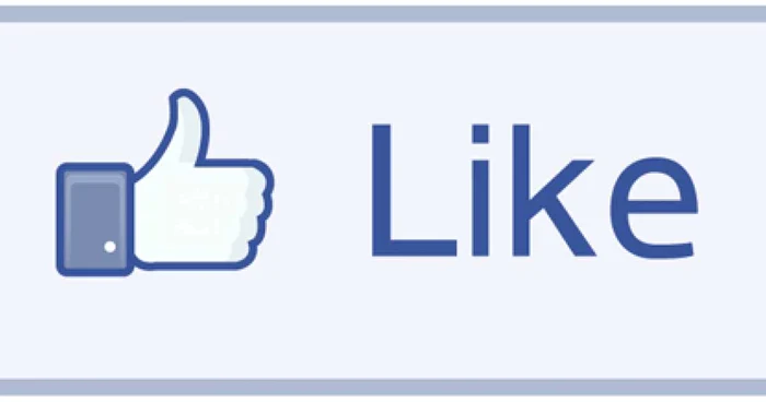 Candidaţii tulceni, pe Facebook