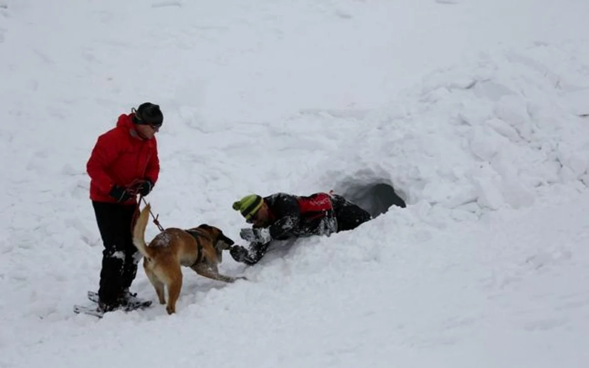 Avalanşă în Munţii Făgăraş