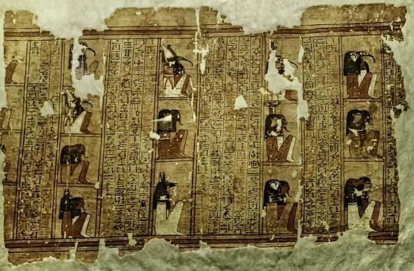 papyrus in ancient egypt jpg webp