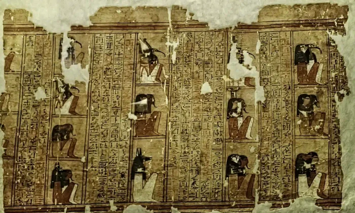 papyrus in ancient egypt jpg webp