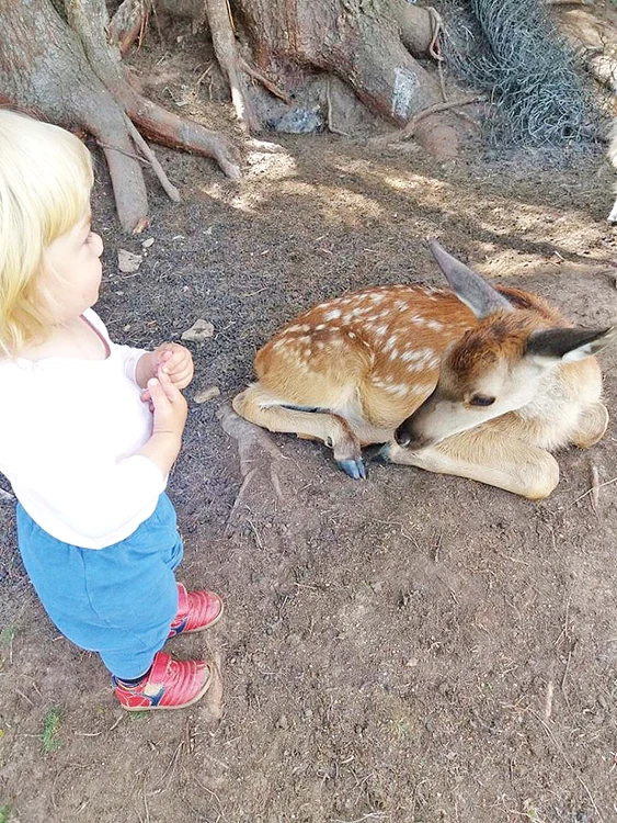 Pui de om şi  pui de căprioară