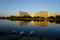 Coletina, Bucuresti, foto Shutterstock jpg