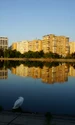 Coletina, Bucuresti, foto Shutterstock jpg