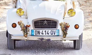 james middleton 2 jpeg