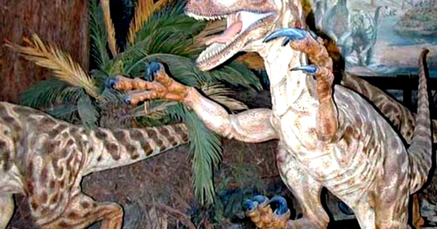 Expoziție pe tema dinozaurilor pitici.