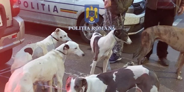 Ogarii folosiţi la braconaj FOTO IPJ DOLJ