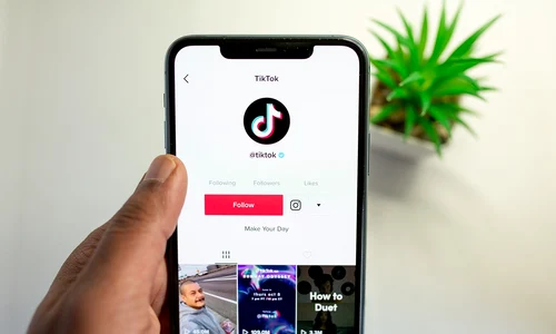 tiktok   2481 jpg