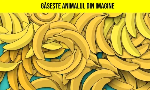 gaseste animalul din imagine jpg