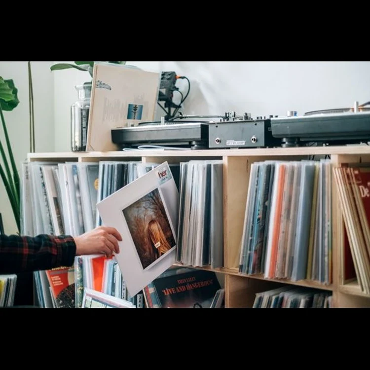Cum să ți depozitezi colecția de viniluri într un spațiu mic jpeg