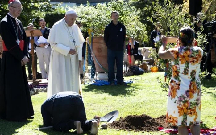 Papa Francisc plantând un stejar în grădinile Vaticanului FOTO EPA-EFE