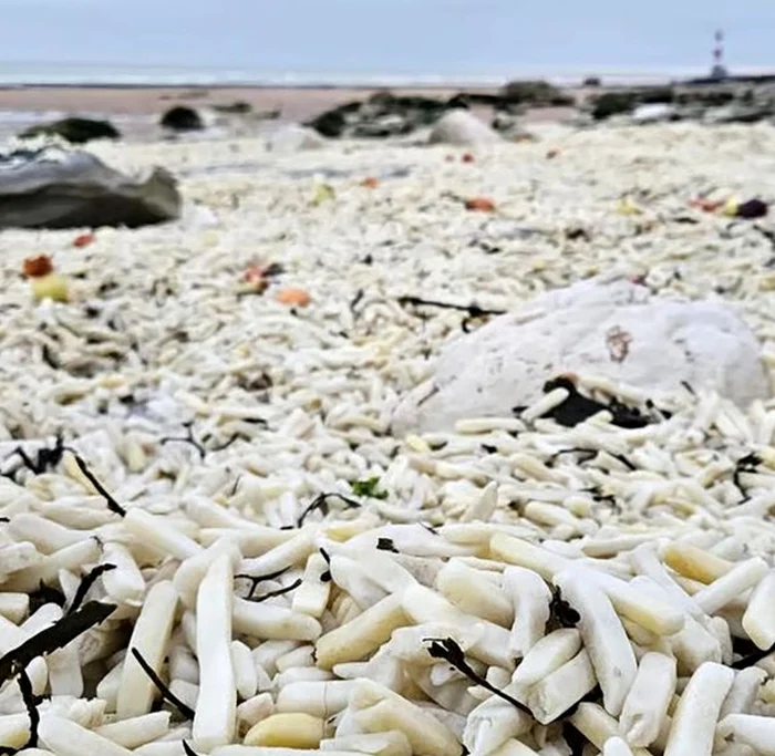 Cartofii pai găsiti pe plajă (Foto: X)