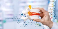vertebre_shutterstock 1381547345 jpg