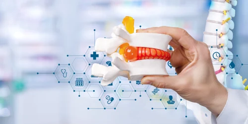 vertebre_shutterstock 1381547345 jpg