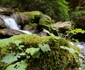 Valea Streiului din Munții Șureanu și Cascada Șipote Foto Daniel Guță ADEVĂRUL (11) JPG
