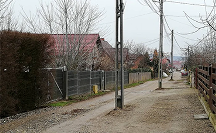 Așa arată strada Petalelor din comuna CiureaFoto: adevarul.ro