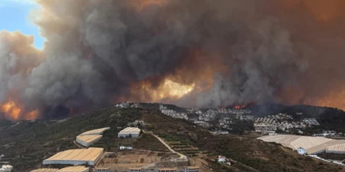 Incendiu puternic în Antalya FOTO: X