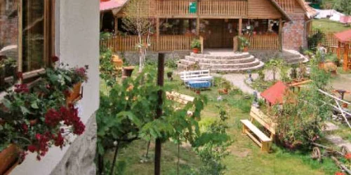 Experţii în fonduri răspund cititorilor