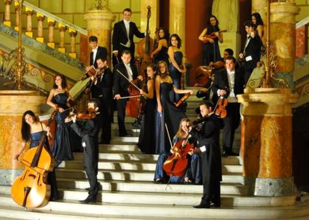 camerata regală