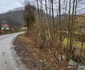 Satul Dumești din Hunedoara Foto Daniel Guță ADEVĂRUL (32) jpg