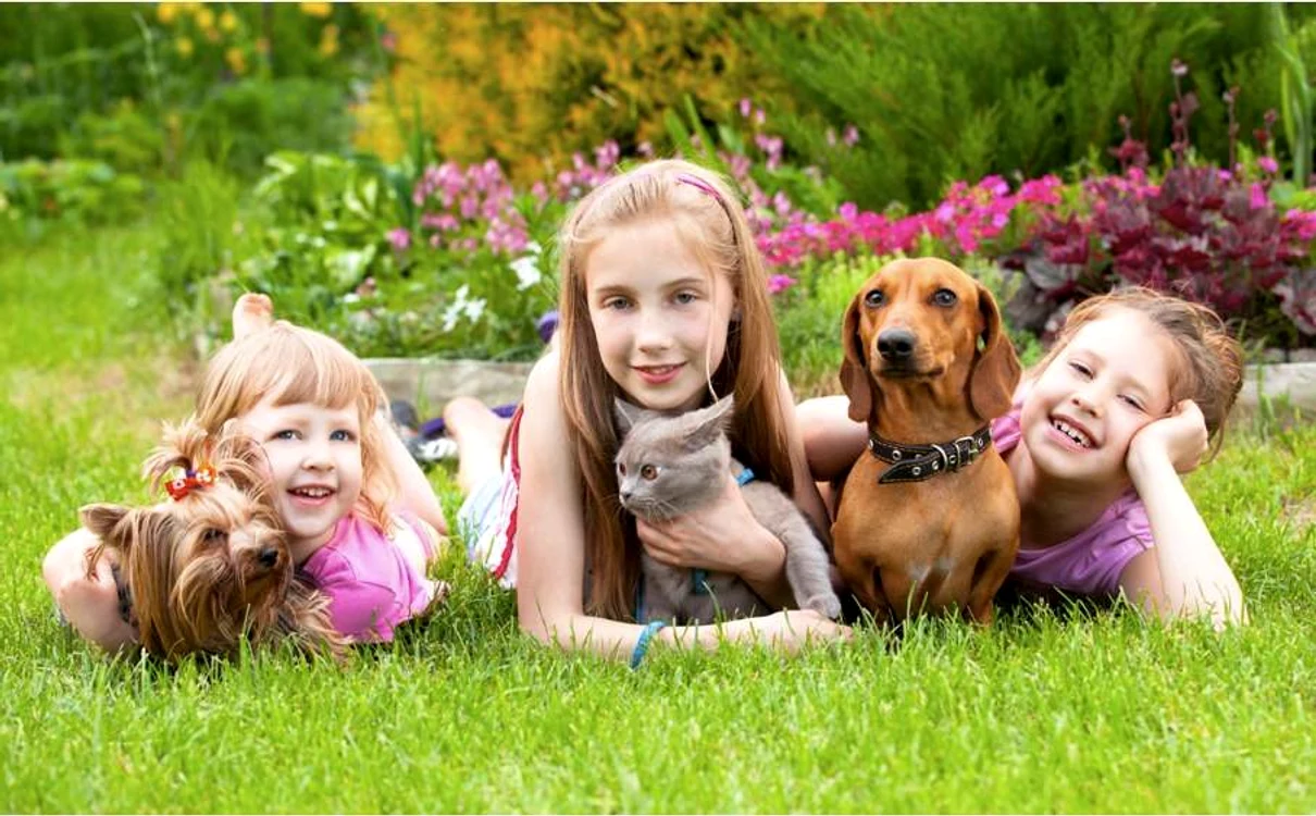 Top 5 animale de companie potrivite pentru copiifoto: copilul.ro