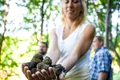 Authentic Truffles gallery pic14 offer truffle jpg