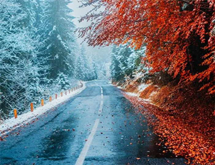 Alex Salahor a realizat fotografia pe drumul dintre Cheile Bicazului şi Lacul Roşu