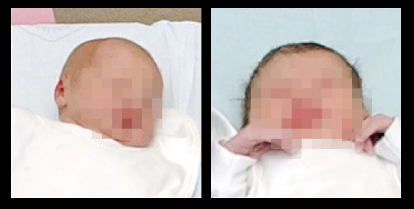 
    Criminaliştii au sigilat tomberonul în care a fost făcută descoperirea morbidă  