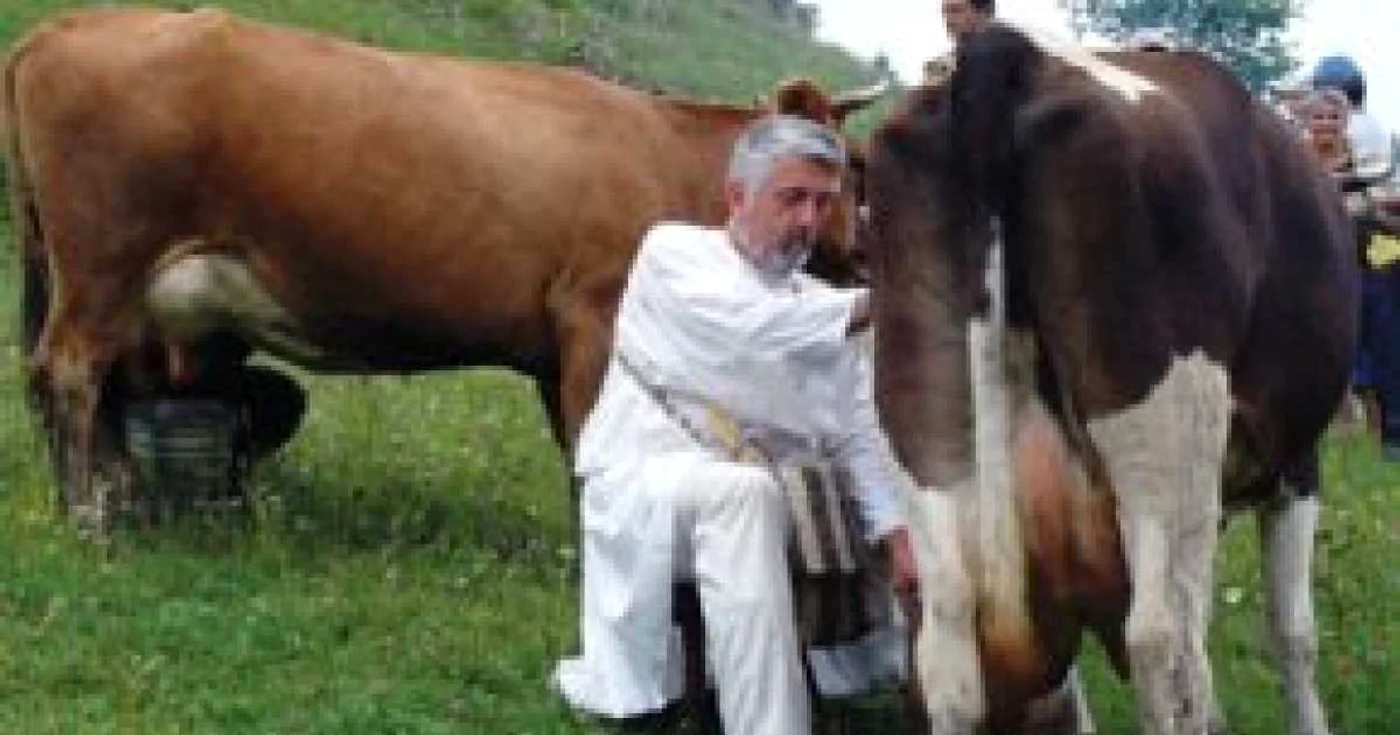 Concedii de vis, cu bani puţini