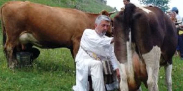 Concedii de vis, cu bani puţini