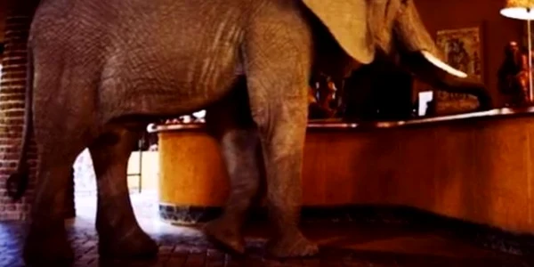 Elefant la hotel in Sri Lanka