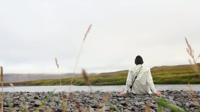 Leii au nevoie de câteva clipe de relaxare Sursă foto: Pixabay.com