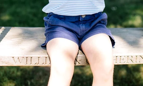 13708331 1176563712365457 2515495736641357250 o jpg jpeg