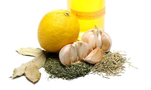 1 otet 4 hoti jpg jpeg