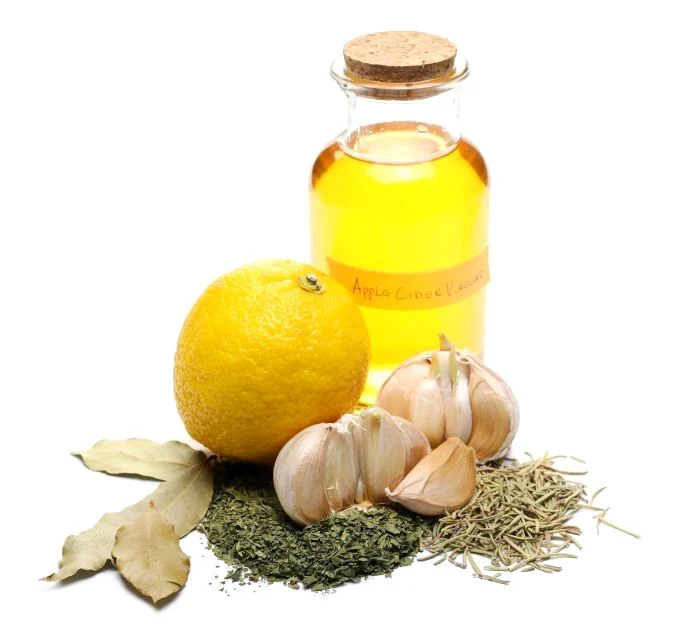 1 otet 4 hoti jpg jpeg