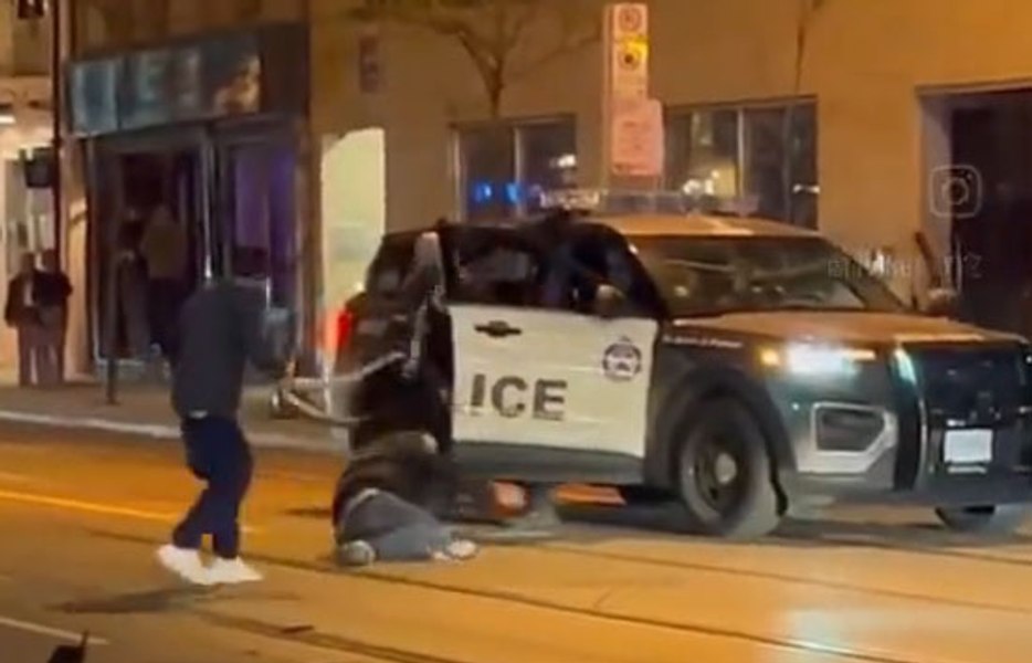 Șarpe folosit pe post de bici într-o încăierare stradală, în Canada VIDEO
